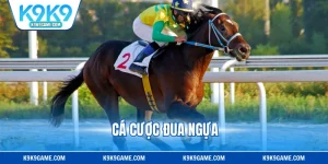 Cá Cược Đua Ngựa - Hướng Dẫn Cách Chơi Chuẩn Cho Newbie